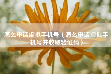 怎么申请虚拟手机号（怎么申请虚拟手机号并收取验证码）