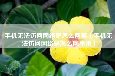 手机无法访问网络是怎么回事（手机无法访问网络是怎么回事哦）