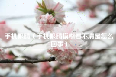 手机眼睛（手机眼睛模糊看不清是怎么回事）