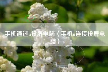 手机通过u投屏电脑（手机u连接投屏电脑）