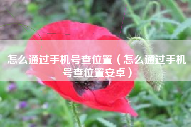 怎么通过手机号查位置（怎么通过手机号查位置安卓）
