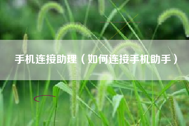 手机连接助理（如何连接手机助手）