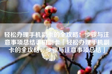 轻松办理手机副卡的全攻略：步骤与注意事项总结手机副卡「轻松办理手机副卡的全攻略：步骤与注意事项总结」