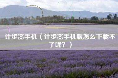 计步器手机（计步器手机版怎么下载不了呢？）