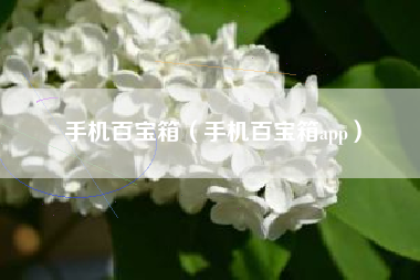 手机百宝箱（手机百宝箱app）