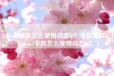 Android手机怎么使用动态ip？手机虚拟ip「Android手机怎么使用动态ip？」