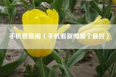 手机看新闻（手机看新闻哪个最好）