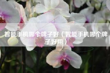 智能手机哪个牌子好（智能手机哪个牌子好用）
