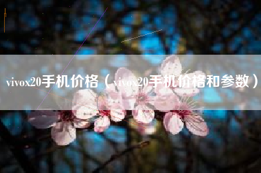 vivox20手机价格（vivox20手机价格和参数）