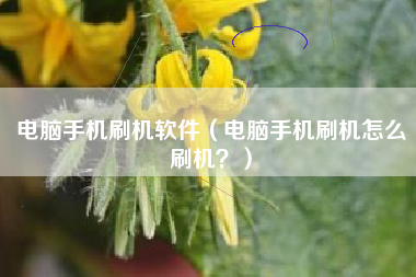 电脑手机刷机软件（电脑手机刷机怎么刷机？）