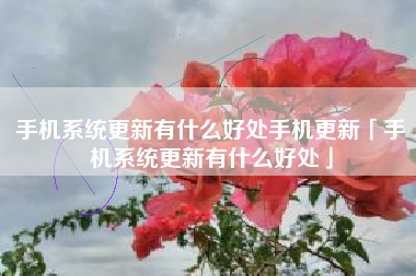 手机系统更新有什么好处手机更新「手机系统更新有什么好处」