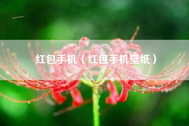 红包手机（红包手机壁纸）