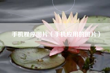 手机程序图片（手机应用的图片）