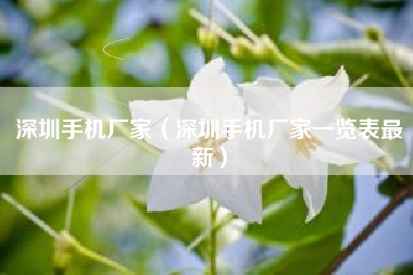 深圳手机厂家（深圳手机厂家一览表最新）