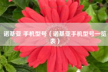 诺基亚 手机型号（诺基亚手机型号一览表）