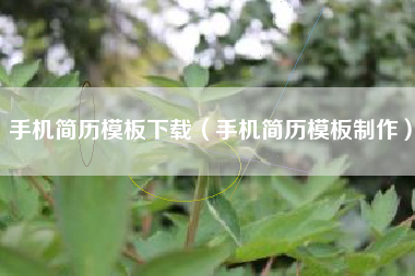 手机简历模板下载（手机简历模板制作）