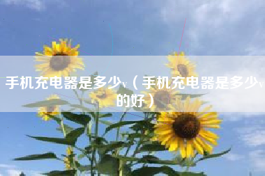 手机充电器是多少v（手机充电器是多少v的好）