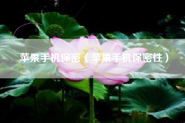 苹果手机保密（苹果手机保密性）