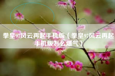 拳皇97风云再起手机版（拳皇97风云再起手机版怎么爆气）