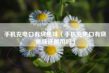 手机充电口有烧焦味（手机充电口有烧焦味还能用吗）