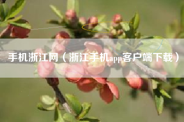 手机浙江网（浙江手机app客户端下载）