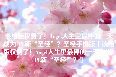 该给版权费了！Angel人生里最棒的一天成为LPL新“圣经”？圣经手机版「该给版权费了！Angel人生里最棒的一天成为LPL新“圣经”？」