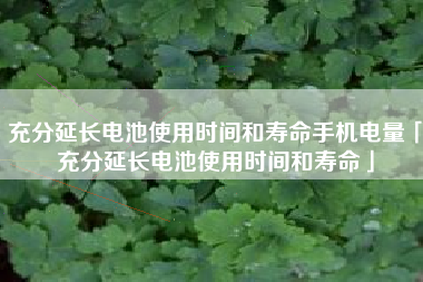 充分延长电池使用时间和寿命手机电量「充分延长电池使用时间和寿命」