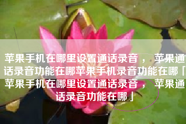 苹果手机在哪里设置通话录音 ， 苹果通话录音功能在哪苹果手机录音功能在哪「苹果手机在哪里设置通话录音 ， 苹果通话录音功能在哪」