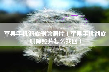 苹果手机彻底删除照片（苹果手机彻底删除照片怎么找回）