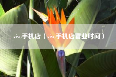 vivo手机店（vivo手机店营业时间）