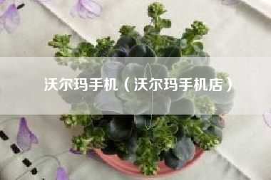 沃尔玛手机（沃尔玛手机店）