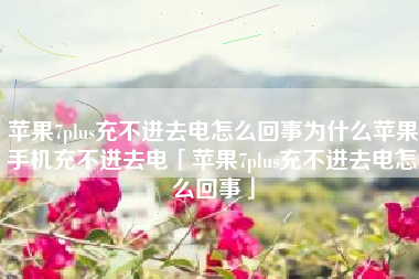 苹果7plus充不进去电怎么回事为什么苹果手机充不进去电「苹果7plus充不进去电怎么回事」