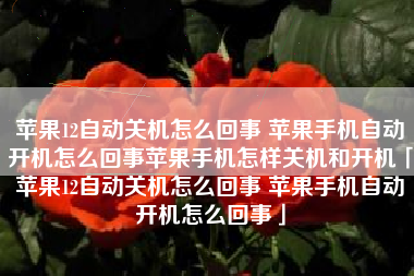 苹果12自动关机怎么回事 苹果手机自动开机怎么回事苹果手机怎样关机和开机「苹果12自动关机怎么回事 苹果手机自动开机怎么回事」