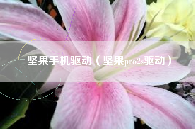 坚果手机驱动（坚果pro2s驱动）