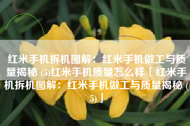 红米手机拆机图解：红米手机做工与质量揭秘 (5)红米手机质量怎么样「红米手机拆机图解：红米手机做工与质量揭秘 (5)」