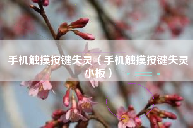 手机触摸按键失灵（手机触摸按键失灵小板）