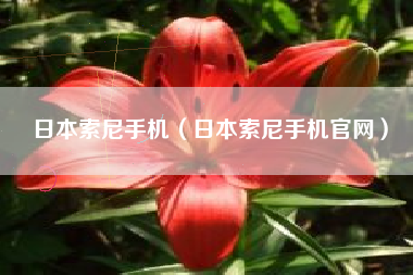 日本索尼手机（日本索尼手机官网）