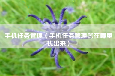 手机任务管理（手机任务管理器在哪里找出来）