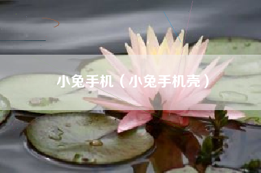 小兔手机（小兔手机壳）