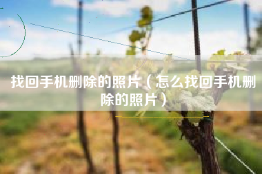 找回手机删除的照片（怎么找回手机删除的照片）