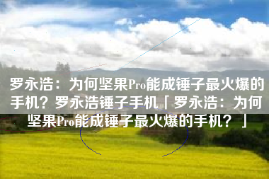 罗永浩：为何坚果Pro能成锤子最火爆的手机？罗永浩锤子手机「罗永浩：为何坚果Pro能成锤子最火爆的手机？」