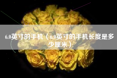 6.0英寸的手机（6.0英寸的手机长度是多少厘米）