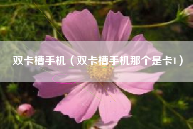 双卡槽手机（双卡槽手机那个是卡1）