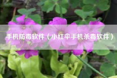 手机防毒软件（小红伞手机杀毒软件）