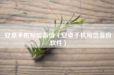 安卓手机短信备份（安卓手机短信备份软件）