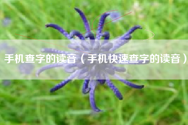 手机查字的读音（手机快速查字的读音）