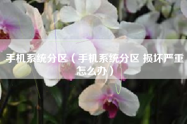 手机系统分区（手机系统分区 损坏严重怎么办）