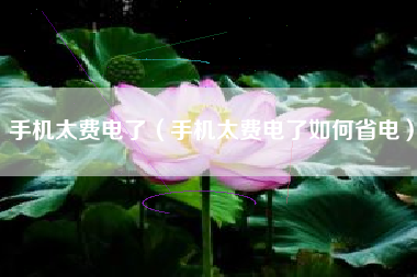 手机太费电了（手机太费电了如何省电）