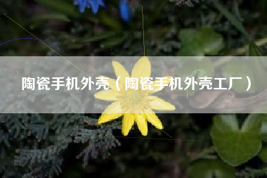 陶瓷手机外壳（陶瓷手机外壳工厂）