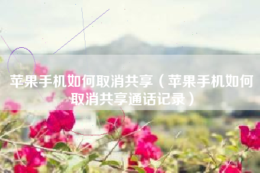 苹果手机如何取消共享（苹果手机如何取消共享通话记录）